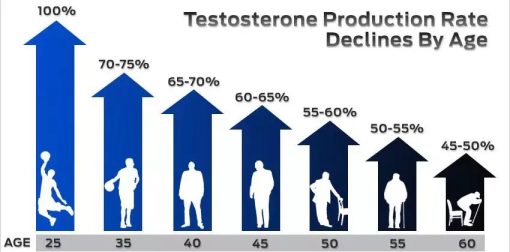 low-testosterone-production-rate1 low-testosterone-production-rate1